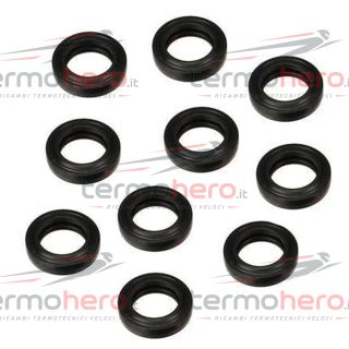 Guarnizioni Saunier Duval 0020047014